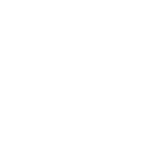 Rizo Sanotti